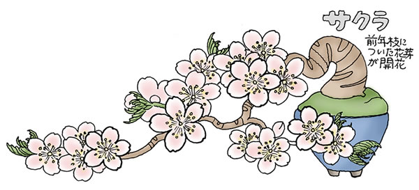 �T�N��